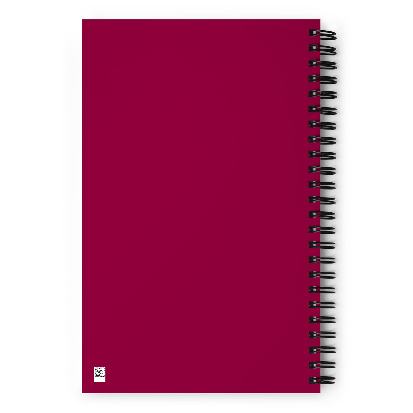 Internal Conscious Amplified Spiral notebook